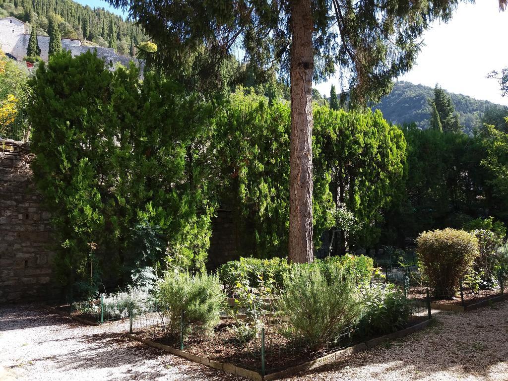 Vescovado 7 Lägenhet Gubbio Exteriör bild
